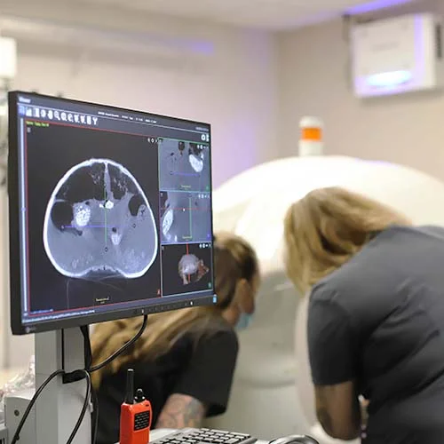 Pet Diagnostic Imaging
