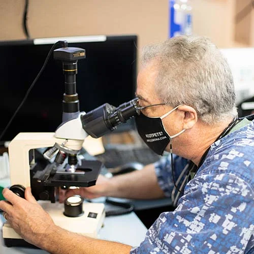 Pet Lab Services